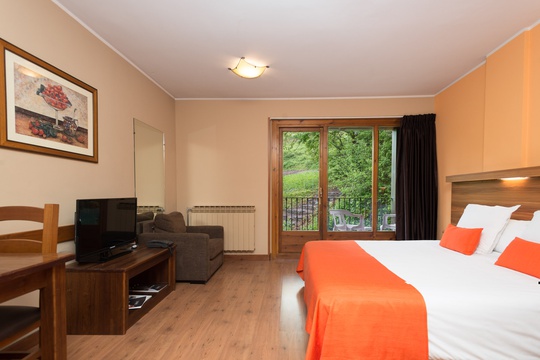 Aparthotel doble Aparthotel AnyósPark La Massana Aparthotel doble Aparthotel AnyósPark La Massana